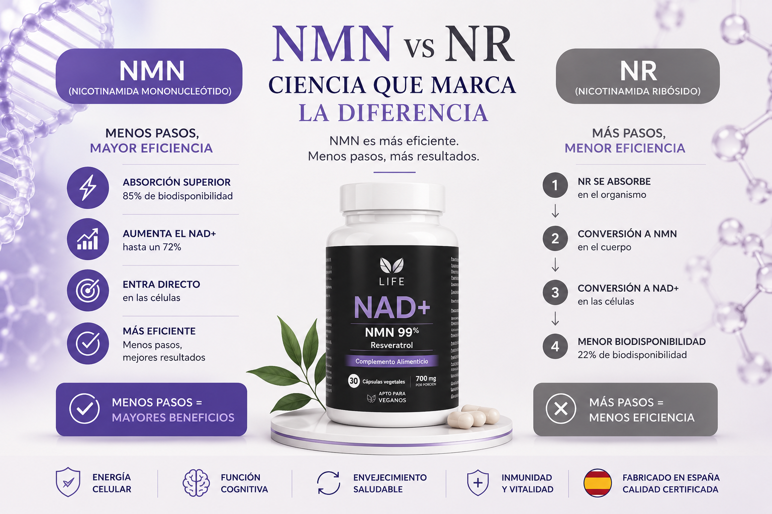NMN vs NR